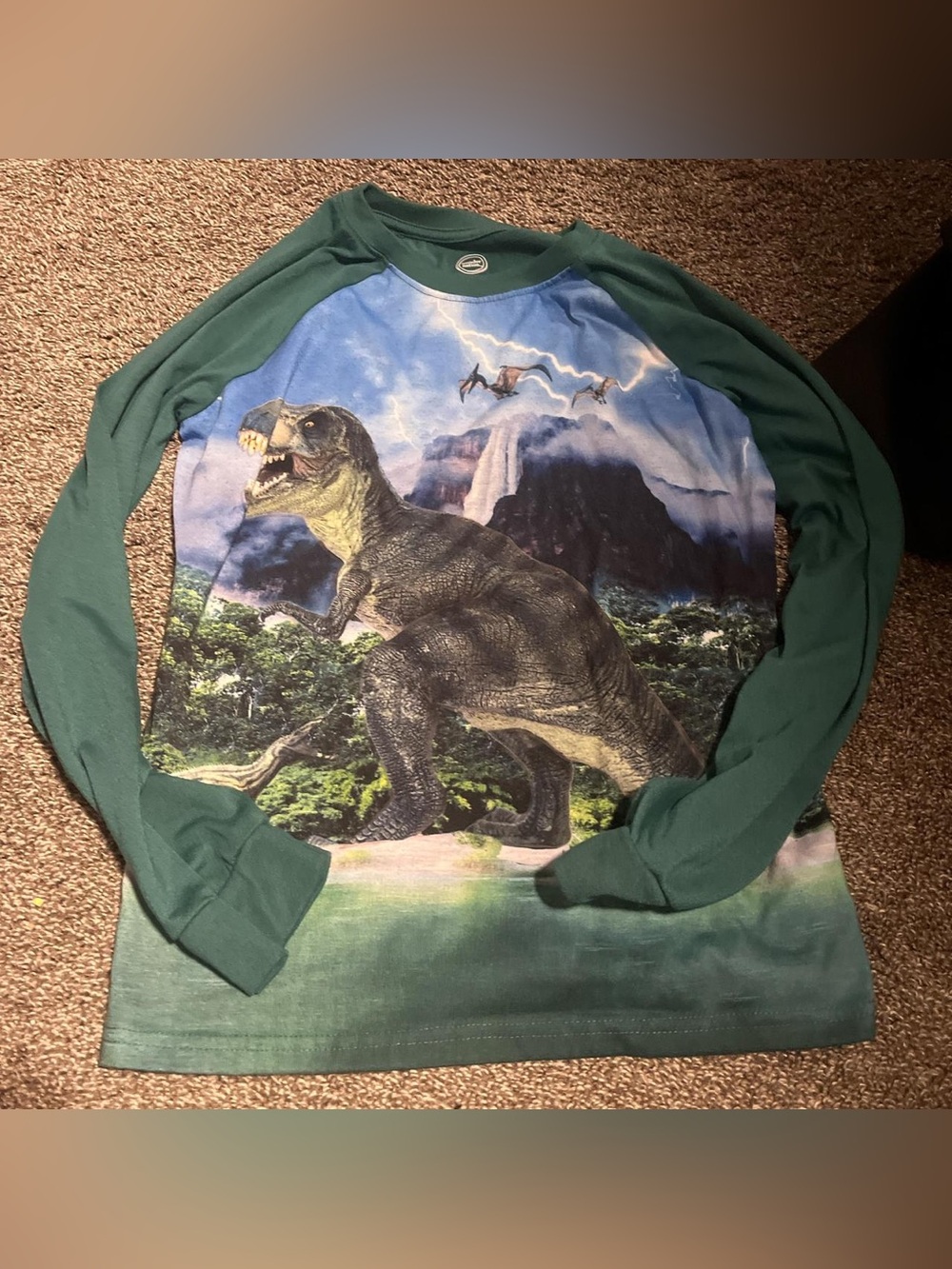 Green Dino Graphic Long Sleeve Tee